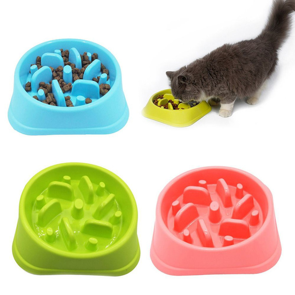 maze bowl for cats