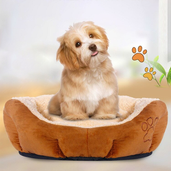 Wish clearance dog beds