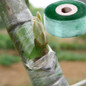 thumbnail - 1