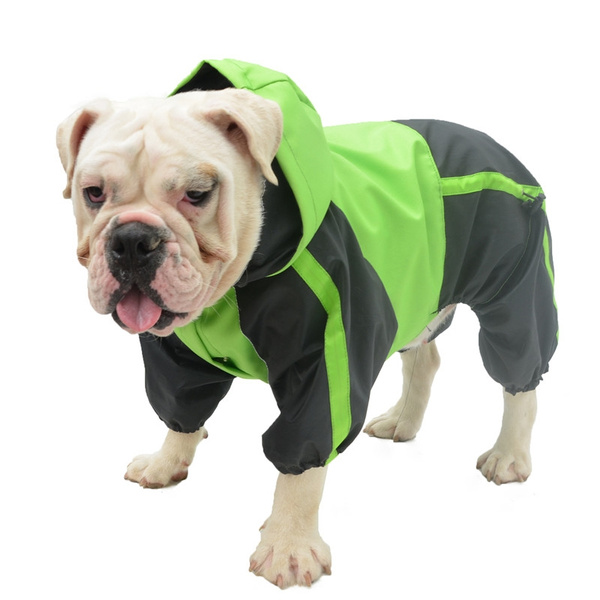 american bully clothing for dogs