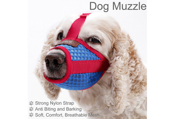 muzzle to prevent eating