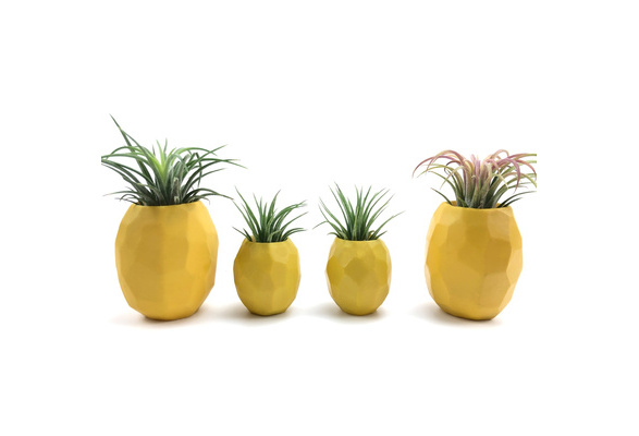 3M Pineapple Air Plant Pot Air Plant Holder Air Plant Pineapple Planter  Container Pot Display with 3M for Hanging Air Plants Indoor Wall Home Decor  | Wish