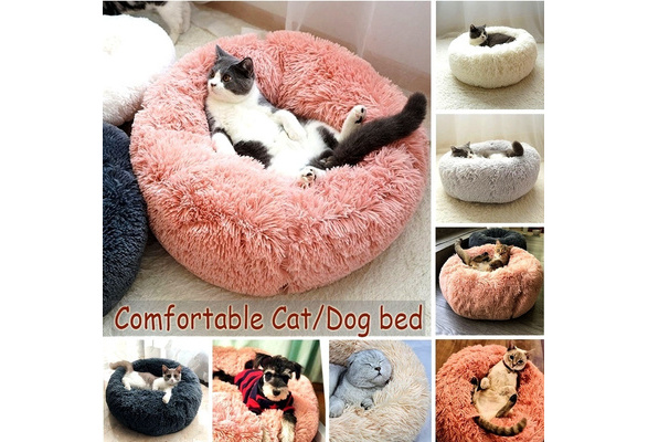 wish cat bed