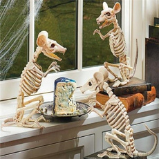 skeletonmodel, Decor, Skeleton, halloweengift
