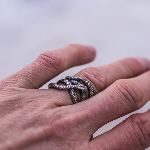 Buy Mens Snake Ring Silver Spiral Snake Rings for Men 18K Gold Snake Signet Ring  Men Mens Jewelry Gifts for Him by Twistedpendant Online in India - Etsy