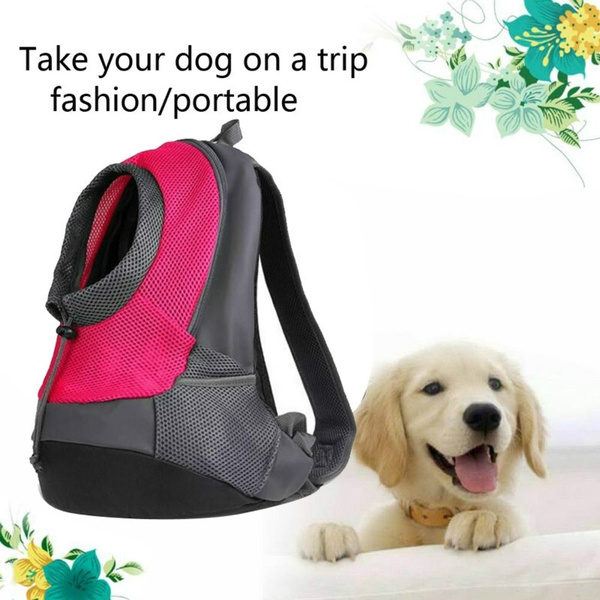 Small pet carriers  Carry your pet in style