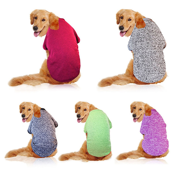 winter clothes for pitbulls