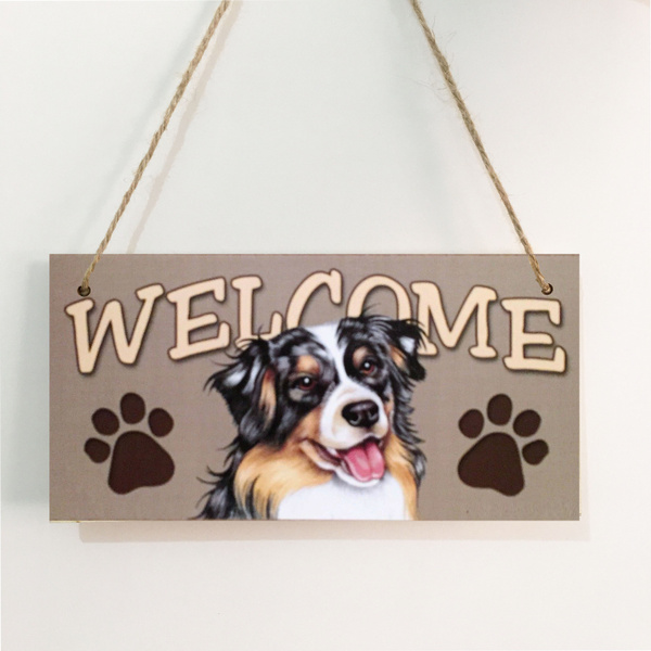 Australian shepherd sale accessories