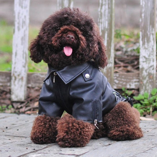 Wish dog shop coats