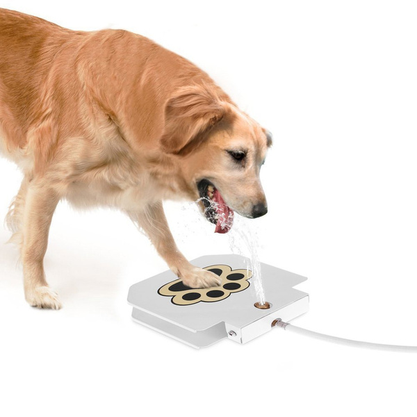 dog activated outdoor fountain