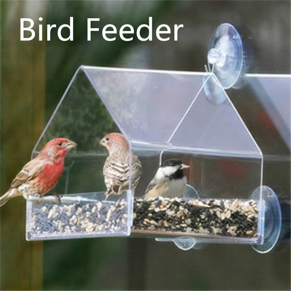 bird feeder wish