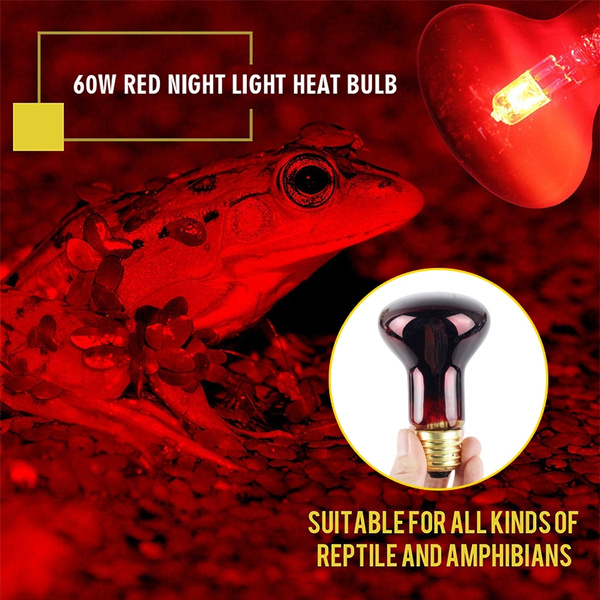 reptile red light bulb