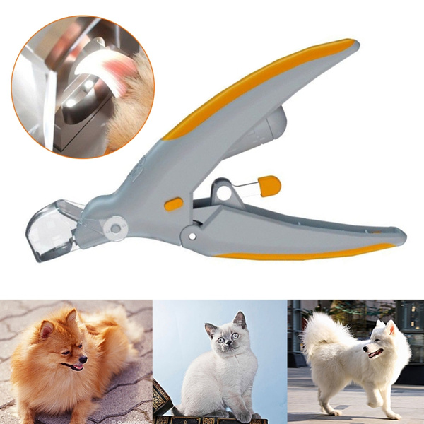 cat clippers with light