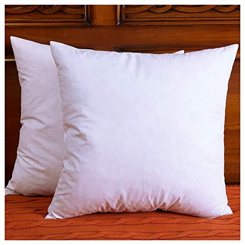 22 inch down pillow inserts