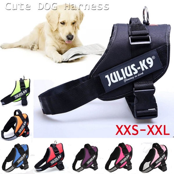 julius k9 training vest