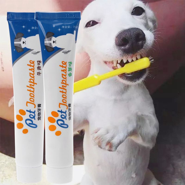 dog toothpaste edible