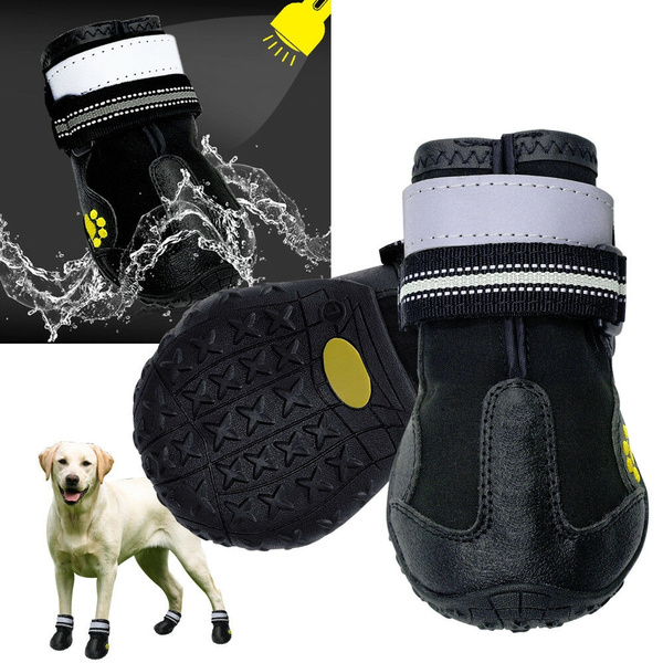 dog boots large breed