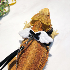 reptile, Pets, Pet Products, Wings