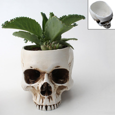 skullmodel, skullflowerpot, Head, skeletonhead