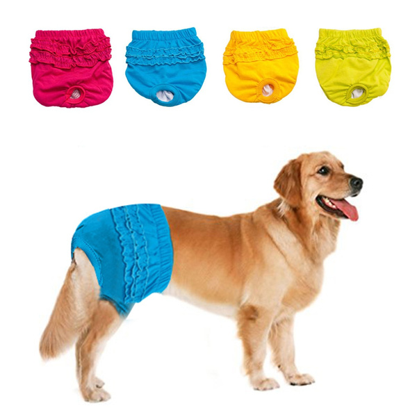 dog in panties