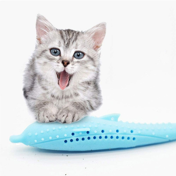 Self cleaning 2024 cat toothbrush