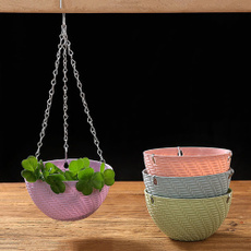 Bonsai, flowerpotsplanter, Plants, hangingbasket