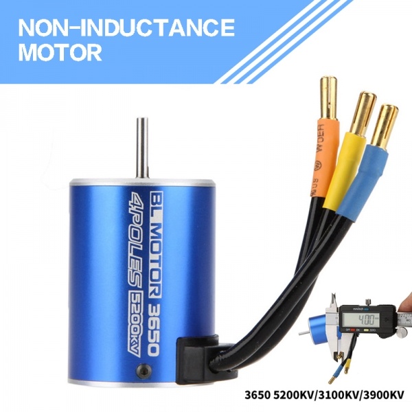 3650 brushless motor