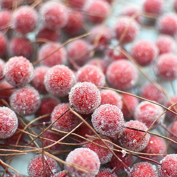 50pcs Mini Fake Fruit Berries Artificial Pomegranate Cherry Stamen Home Decor 