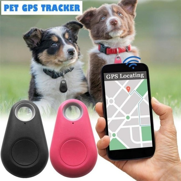 Ryd op underjordisk Forældet Pet Mini Gps Smart Bluetooth GPS Tracker Alarm Mini Gps Tracker for Dogs No  Battery | Wish