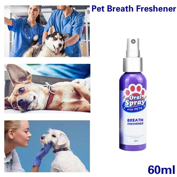 Diy Dog Breath Freshener Spray