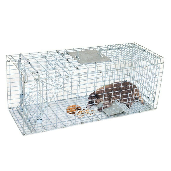 Extra large deals rodent cage