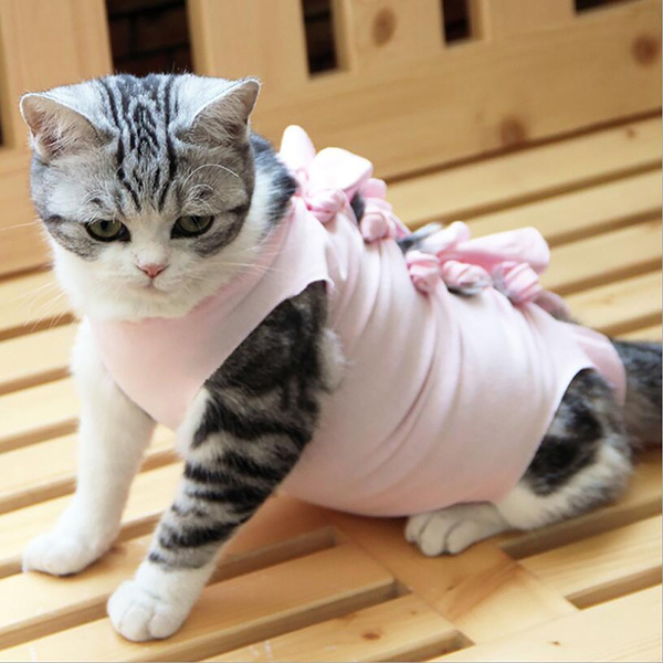 1 PC Professional Cat Recovery Suit Female Cat Breathable Sterilization Suit Surgical Gown Clothes Speical Costume for Cat Supplies