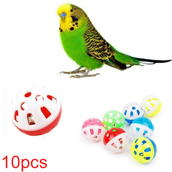 parrot cat toy