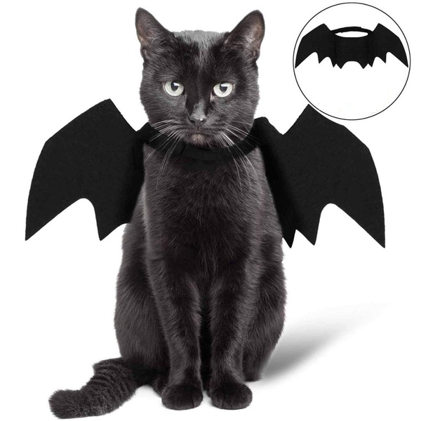 bat fancy dress outfit