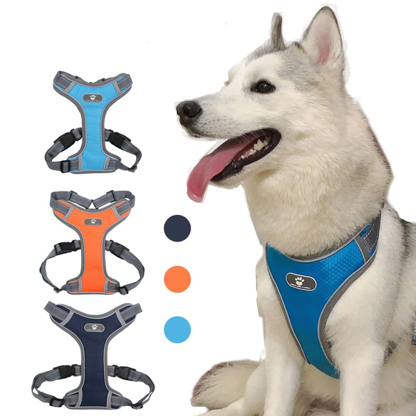 husky walking harness