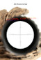 thumbnail - 6
