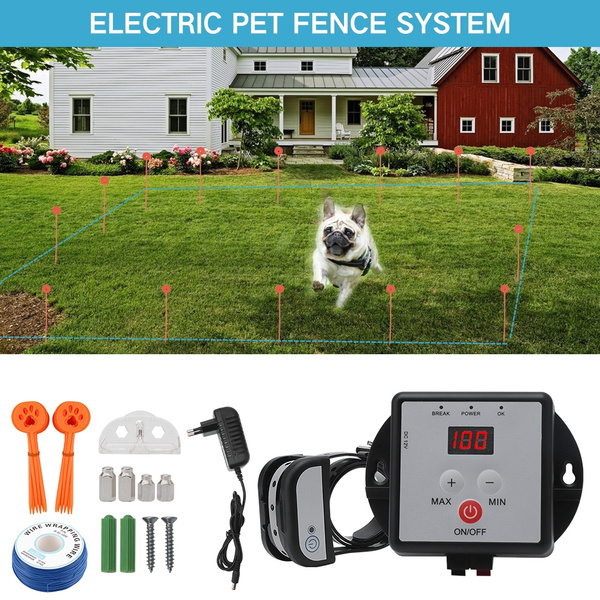 electric dog fence