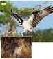 thumbnail - 6