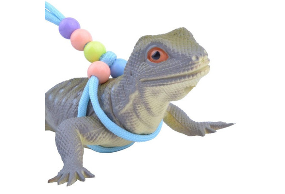 chameleon leash