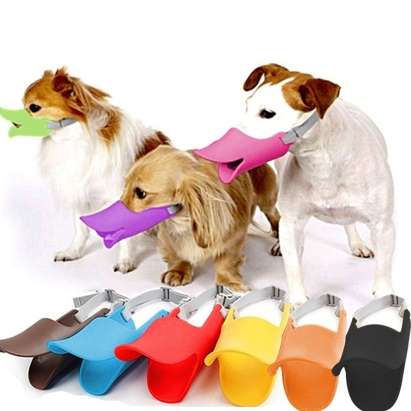 duck mouth dog muzzle