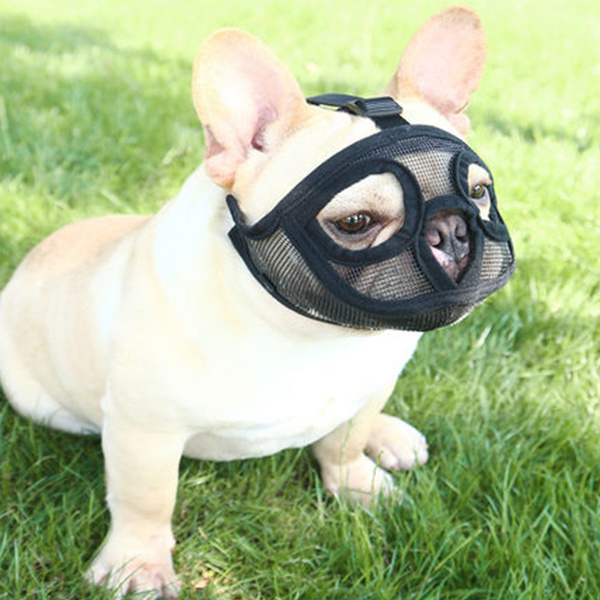 French bulldog clearance muzzle