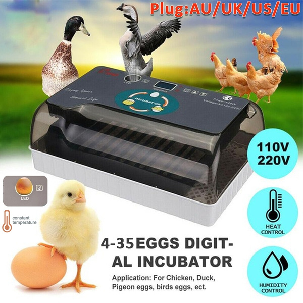 4-35 Egg Incubator Mini Automatic Intelligent Temperature Humidity ...