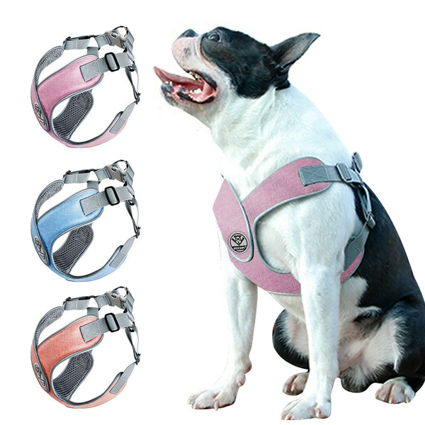 no pull escape proof dog harness