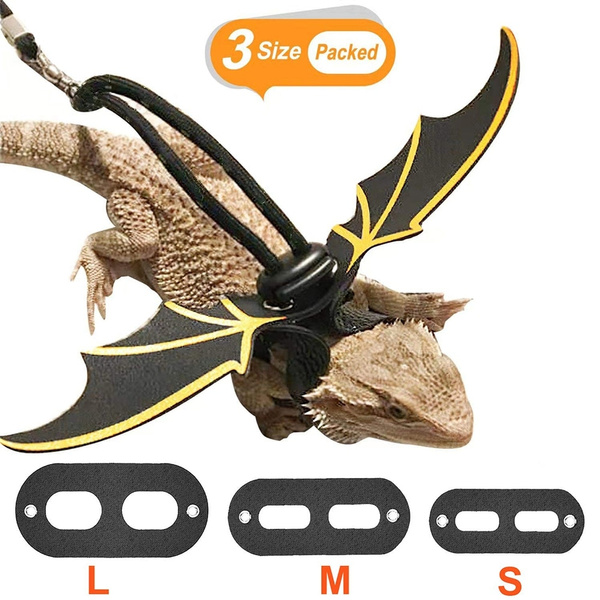 Adjustable Bearded Dragon Leather Harness Leash with Cool Wings for ...