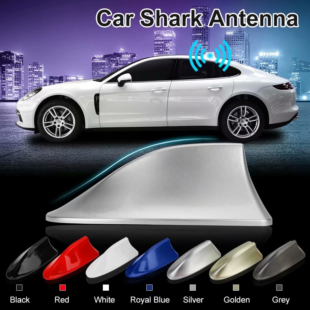 blue shark car