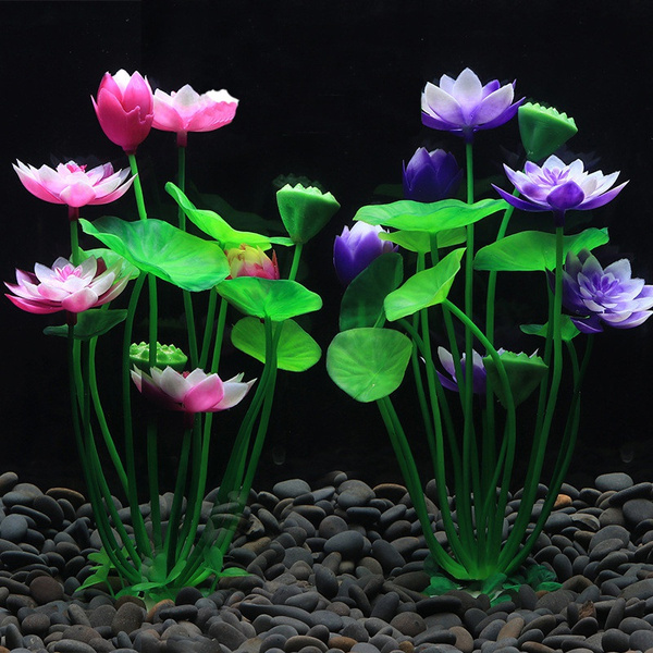 Flowering aquarium cheap plants