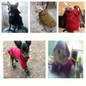 thumbnail - 2