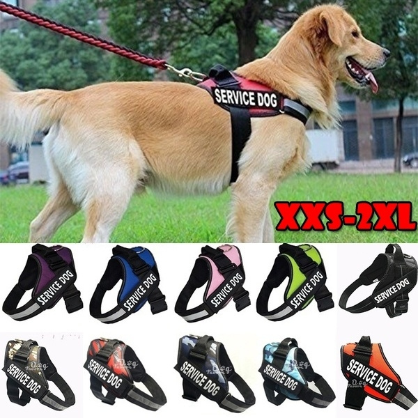 companion animal vest