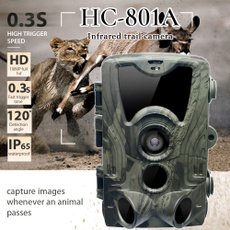 trailcamera, Hunting, scoutingcamera, Digital Cameras