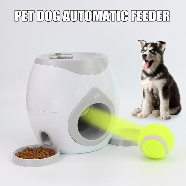 dog slow feeder ball